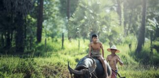 Czym Pielęgnować motocykl?