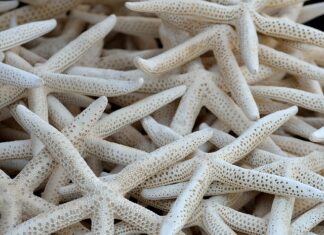 Czy opłaca się założyć kolektory słoneczne?