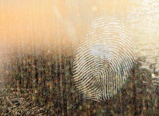 Do czego smar ŁT 43?